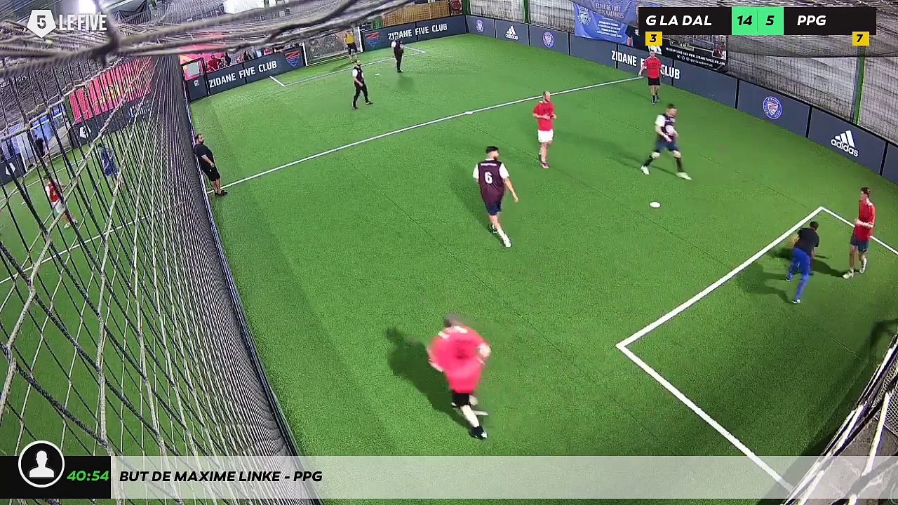 But de MAXIME LINKE - PPG