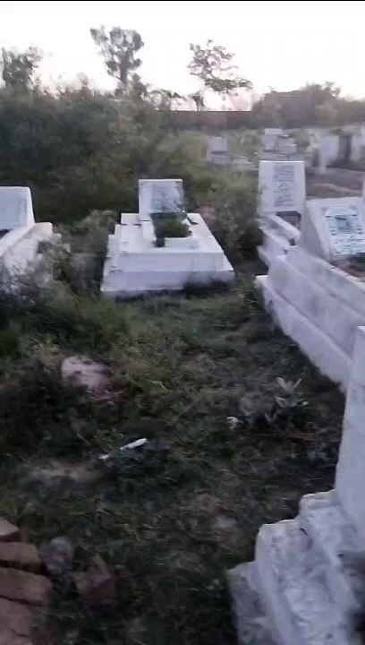 VID-20240610-WA0003