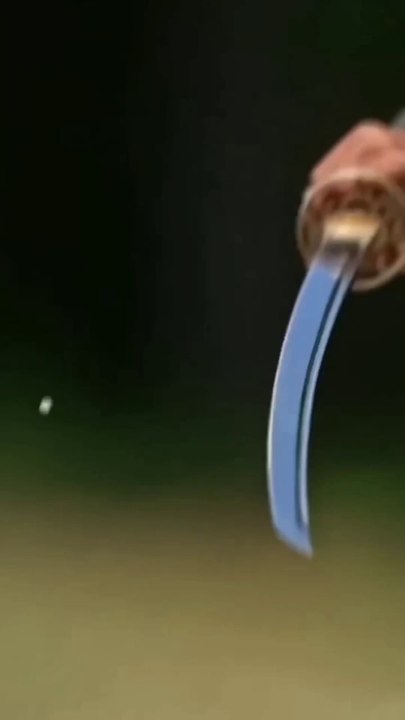 Katana Vs Bullet