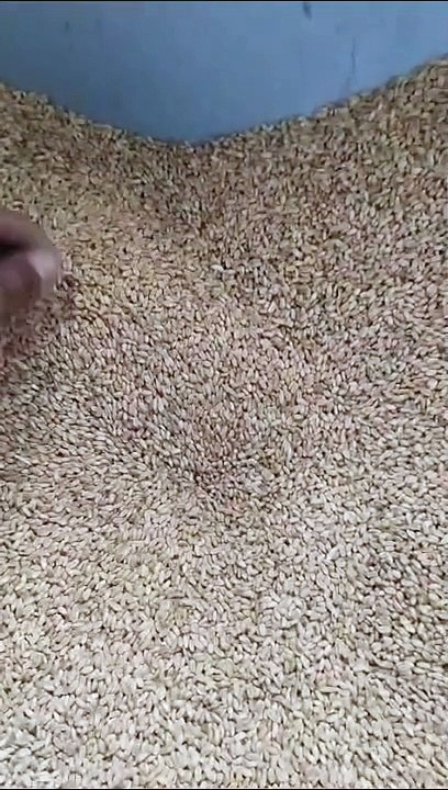 VID-20240613-WA0000