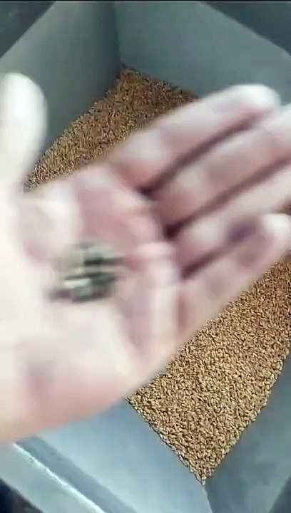 VID-20240613-WA0001