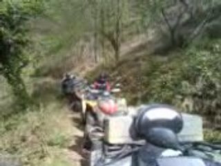 Un Bucheron au travail