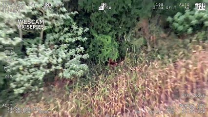 Helicóptero Falcão 13 da PM encontra mulher desaparecida no oeste do Paraná