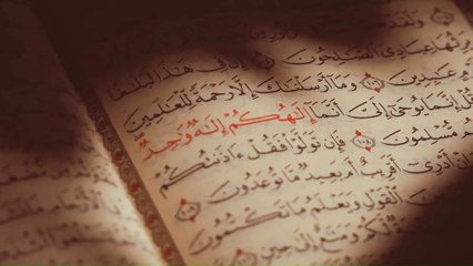 Nahar Muh Quran Ki Aik Surah Parhne Se Har Bimari Khatam -  For all diseases - Yaqeen Talks