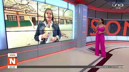 cae arbol en una unidad educativa