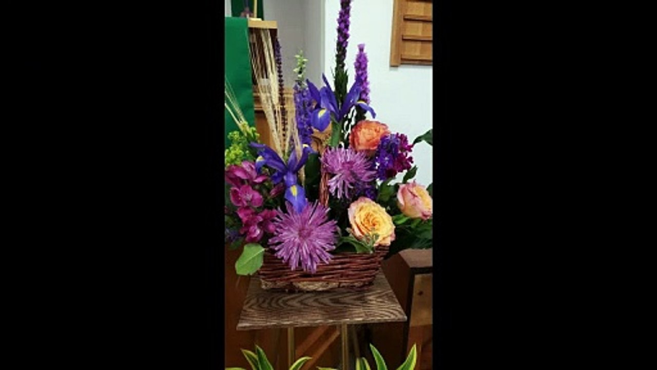 Flowers and Cards for Rose