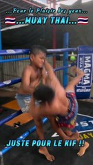  Muay Thai  ☑️ Juste pour le kif‼️✅ Pour le plaisir des yeux‼️