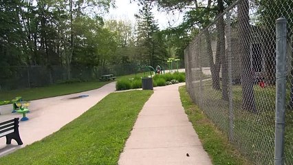 ED 18 juin TOPO fusil pellet