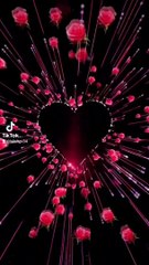 تحیا حب یسقط عشق