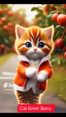 Cute Cat dance viral on Dailymotion must Watch