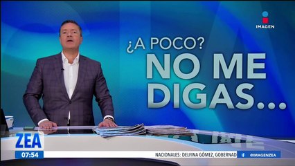 Freno al aguacate michoacano: El gobierno estatal debería agarrar a los grupos del crimen organizado