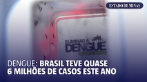 Brasil teve quase 6 milhões de casos de dengue este ano