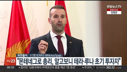 "몬테네그로 총리, 알고보니 테라·루나 초기 투자자"