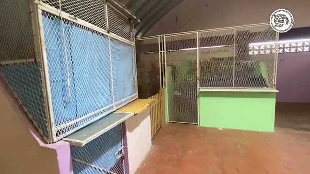 Sin ocuparse la mayoría de los locales en mercado Benito Juárez de Agua Dulce