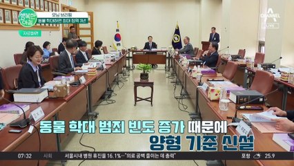 동물 학대 처벌 강화, 범죄 빈도 증가에 최대 징역 3년까지 처벌한다 #동물학대처벌