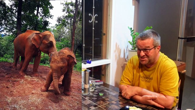 Christoph Teil 2 #vlog #expad #besuch #reise #thailand #ganesha #Thailand2022 #auswandern