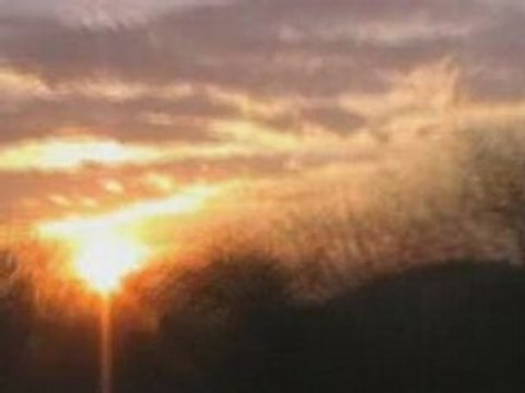 Monte Alban - Canyon de sumidero