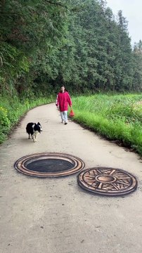 Best vidoes viral vidoes