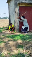 Cat fun ll man doing fun with eachother