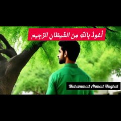 Ali aur magical tree ki Kahani 3D animation