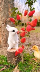 Rabbit_eat_strawberry__#rabbit_#bunny_#cutepet_#cutepets_#viral_#shorts(720p)