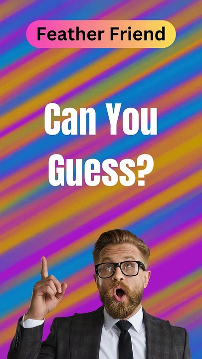 Feather Friend | Riddle Challenge |