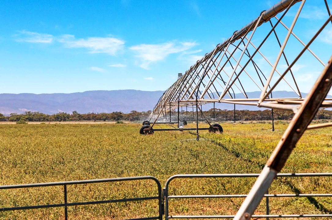 ‘Bonnie-Doon’ Baroota, SA | June 19, 2024 | Farmonline