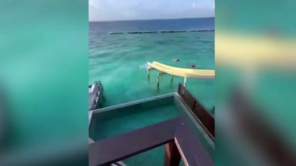 Ex-Real Madrid salva vida de casal que se afogava em ilha