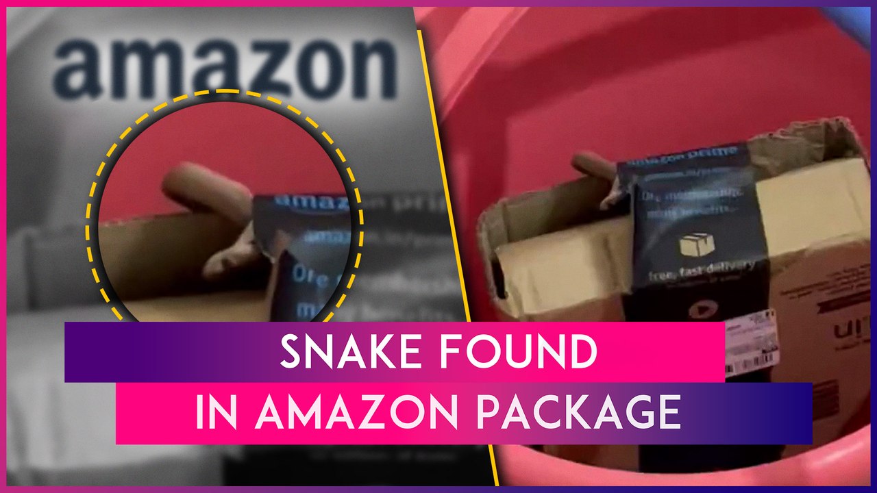Snake Found In Amazon Package: Bengaluru Techie Finds Cobra Inside Delivered Box