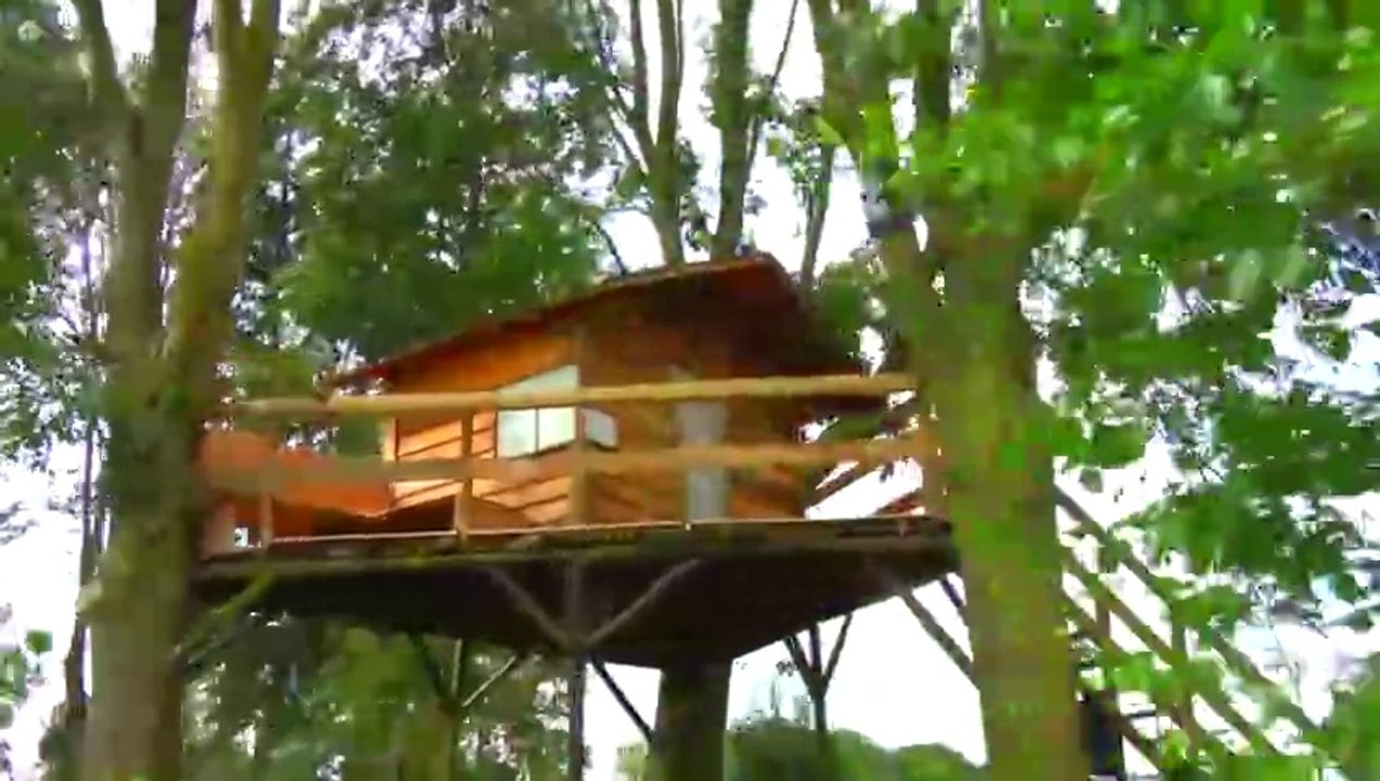 I Built a SECRET Tree House in My Backyard