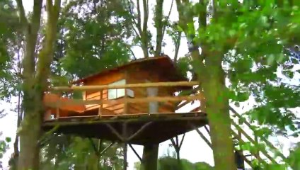 I Built a SECRET Tree House in My Backyard