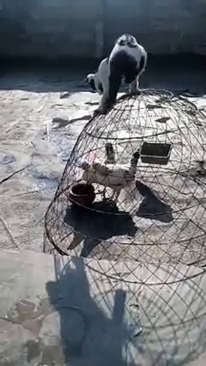 VID-20221230-WA0001