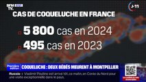 Santé: 5.800 cas de coqueluche enregistrés en France en 2024