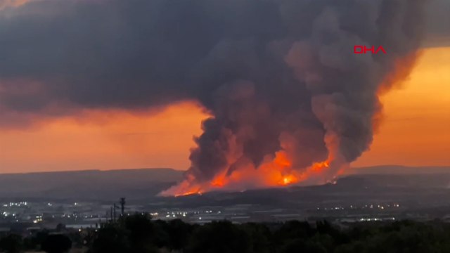 Uşak'ta ormanlık alanda yangın
