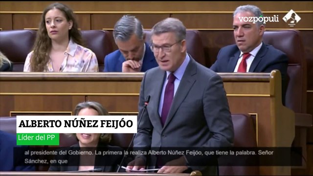 Feijóo, a Sánchez: ¿En qué punto de su novedoso plan de regeneración democrática viene que un ministro llame drogadicto a un jefe de Estado?