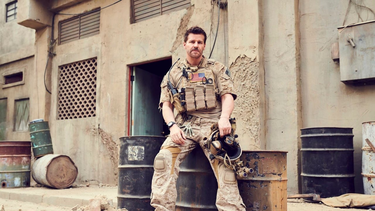 SEAL Team