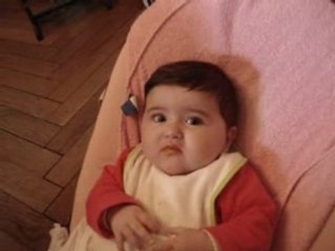 1er petit pot de carotte