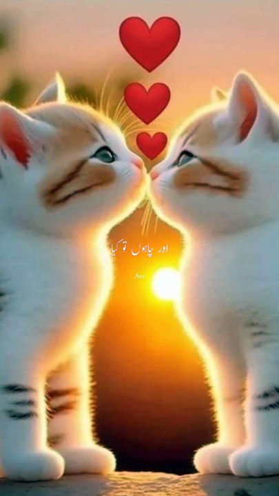 Tujhe Sochta Hun Main Shaam Ho Subah