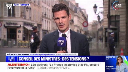 "Aucun plan de l'Élysée": les confidences d'un ministre sur les législatives