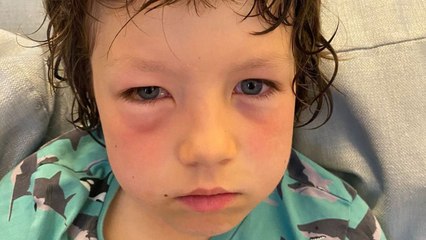 Tourists in Paris gassed by police after being caught in pro-Palestine protests