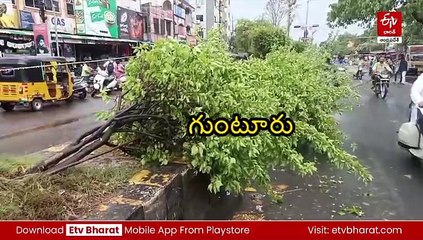 ఏపీలో ఈదురు గాలులతో భారీ వర్షాలు