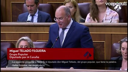 Tellado repasa todos los líos del Gobierno en los últimos 15 días