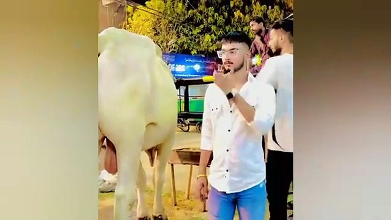 funniest moments
