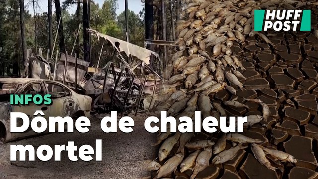 Aux États-Unis et au Mexique la récente canicule rendue 35 fois plus probable par le changement climatique