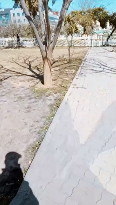 Guess the place