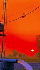 پنجابی لوک ورثہ Punjabi lok Virsa(HD)_1