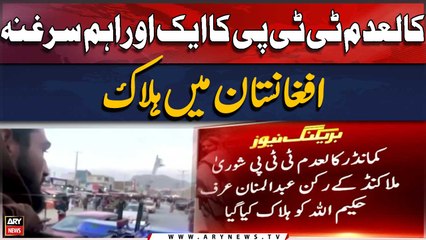 Another crucial leader of TTP Khawarij eliminated in Afghanistan's Kunar region