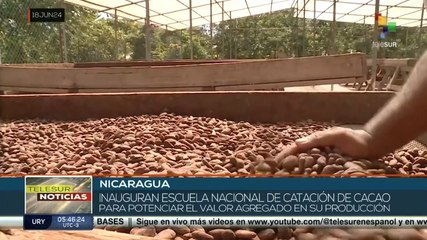 Nicaragua apertura escuela nacional de catación de cacao y así potenciar su producción