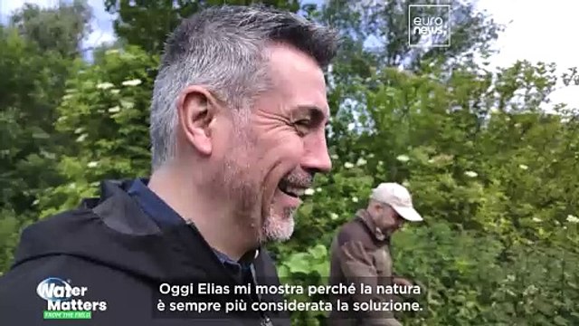 Come le Fiandre sfruttano la natura per prevenire le inondazioni mortali