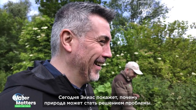 Как Фландрия с помощью природы предотвращает разрушительные наводнения